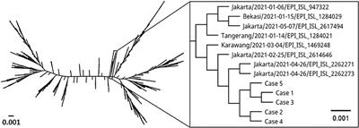 Whole-Genome Sequencing of SARS-CoV-2 Infection in a Cluster of Immunocompromised Children in <mark class="highlighted">Indonesia</mark>